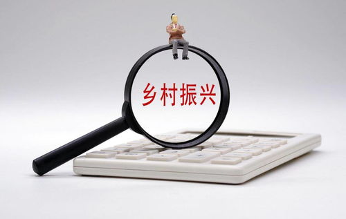 打通金融“最后一公里”，以多元服務賦能鄉村振興